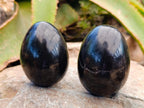 Polished Black Basalt Eggs x 6 From Madagascar