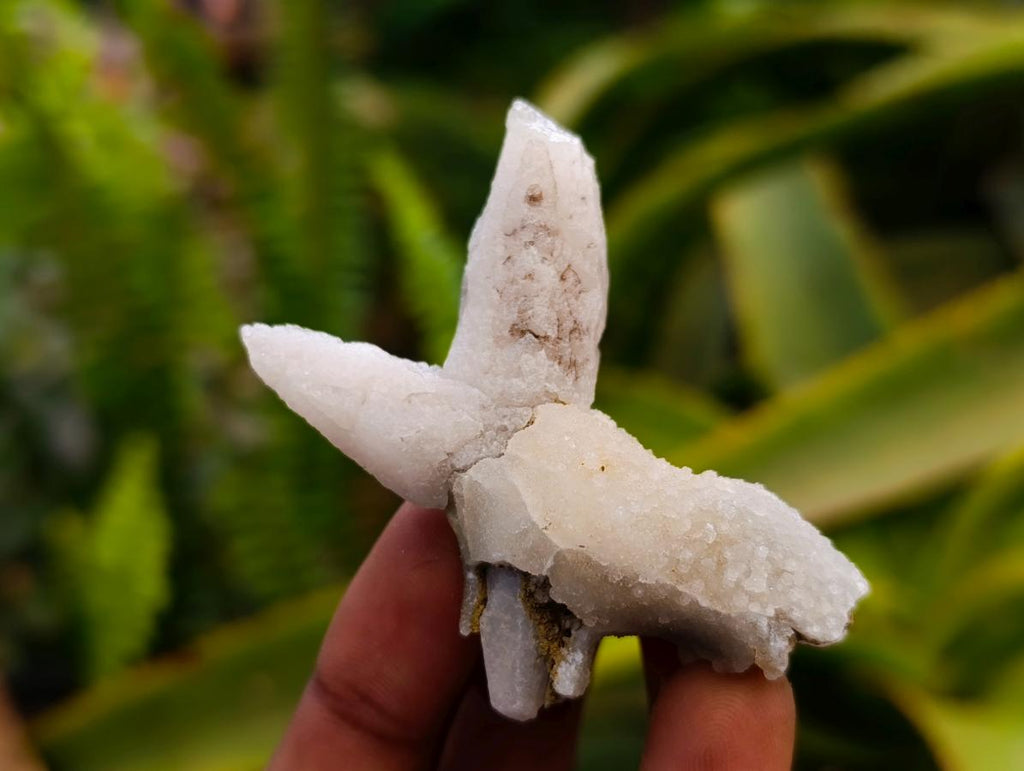 Natural Drusy Quartz Coated Spearhead Calcite Specimens x 35 From Albert's Mountain, Lesotho