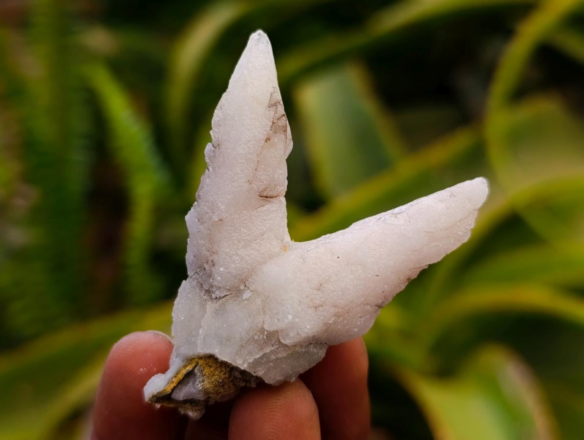 Natural Drusy Quartz Coated Spearhead Calcite Specimens x 35 From Albert's Mountain, Lesotho