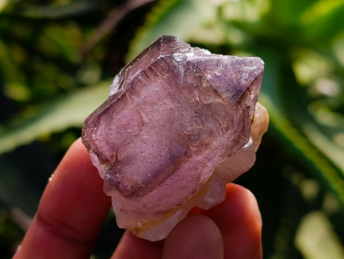 Natural Window Amethyst Crystals x 12 From Chiredzi, Zimbabwe