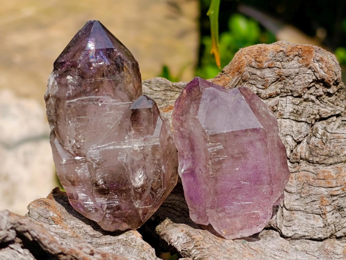 Natural Window Amethyst Crystals x 12 From Chiredzi, Zimbabwe