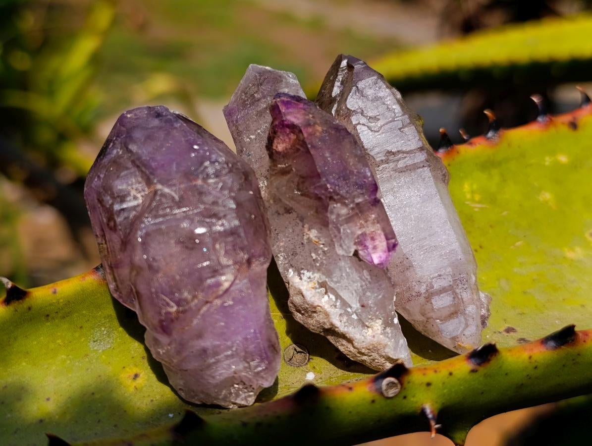 Natural Window Amethyst Crystals x 12 From Chiredzi, Zimbabwe