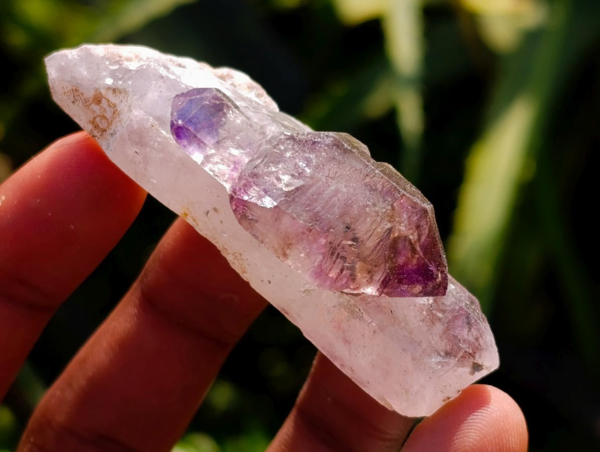 Natural Window Amethyst Crystals x 12 From Chiredzi, Zimbabwe