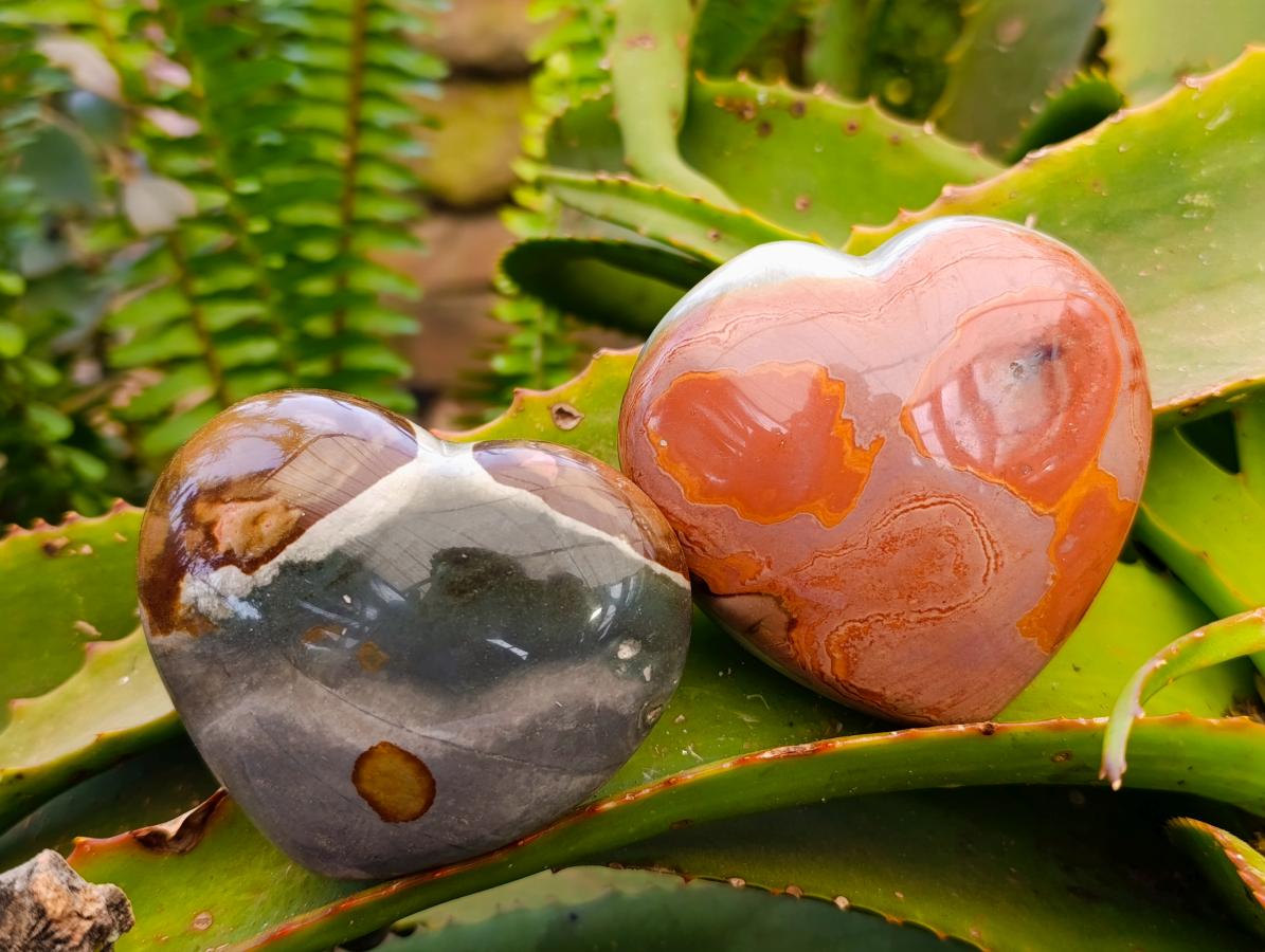 Polished Polychrome Jasper Hearts x 6 From NW Coast, Madagascar