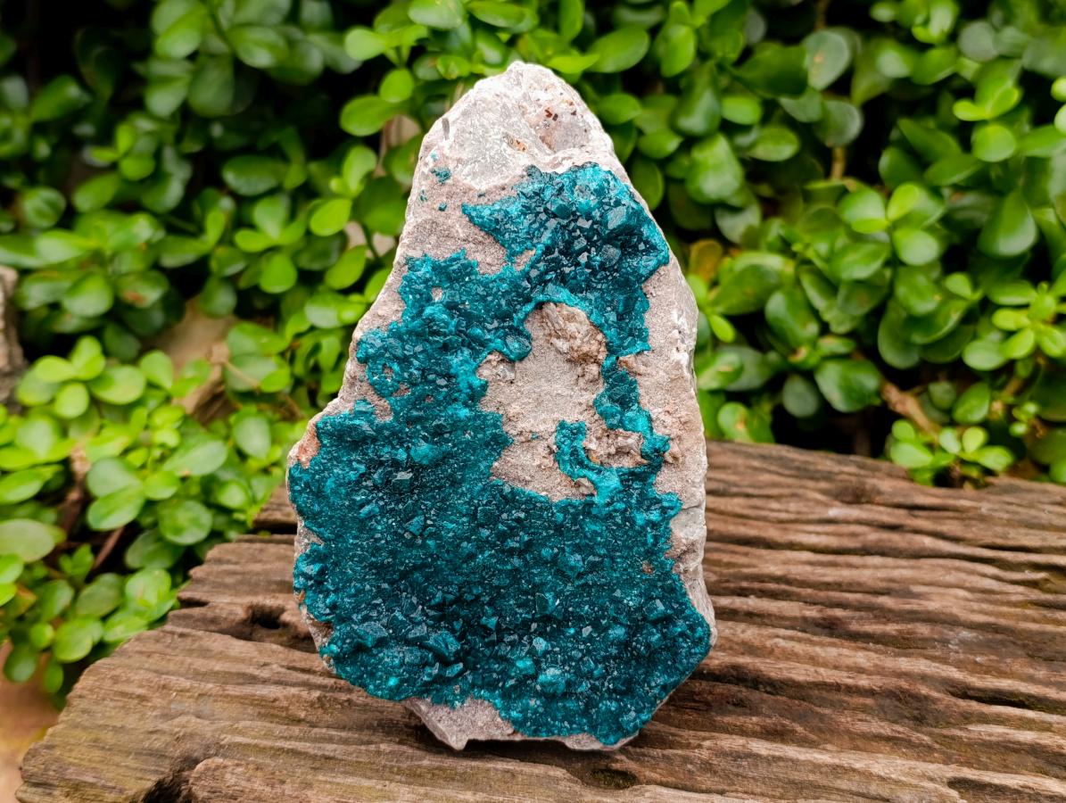 Natural Dioptase On Dolomite Specimen x 1 From Likasi, Congo - Toprock Gemstones and Minerals 