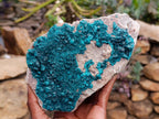 Natural Dioptase On Dolomite Specimen x 1 From Likasi, Congo - Toprock Gemstones and Minerals 