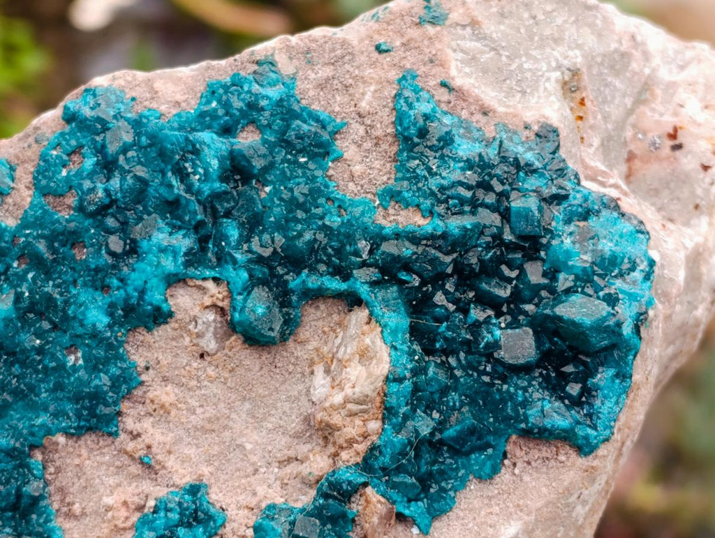 Natural Dioptase On Dolomite Specimen x 1 From Likasi, Congo - Toprock Gemstones and Minerals 
