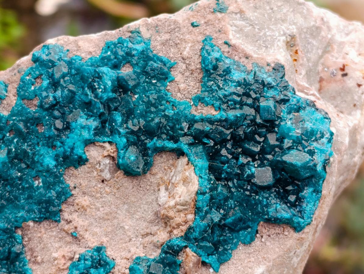 Natural Dioptase On Dolomite Specimen x 1 From Likasi, Congo - Toprock Gemstones and Minerals 