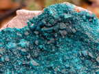 Natural Dioptase On Dolomite Specimen x 1 From Likasi, Congo - Toprock Gemstones and Minerals 