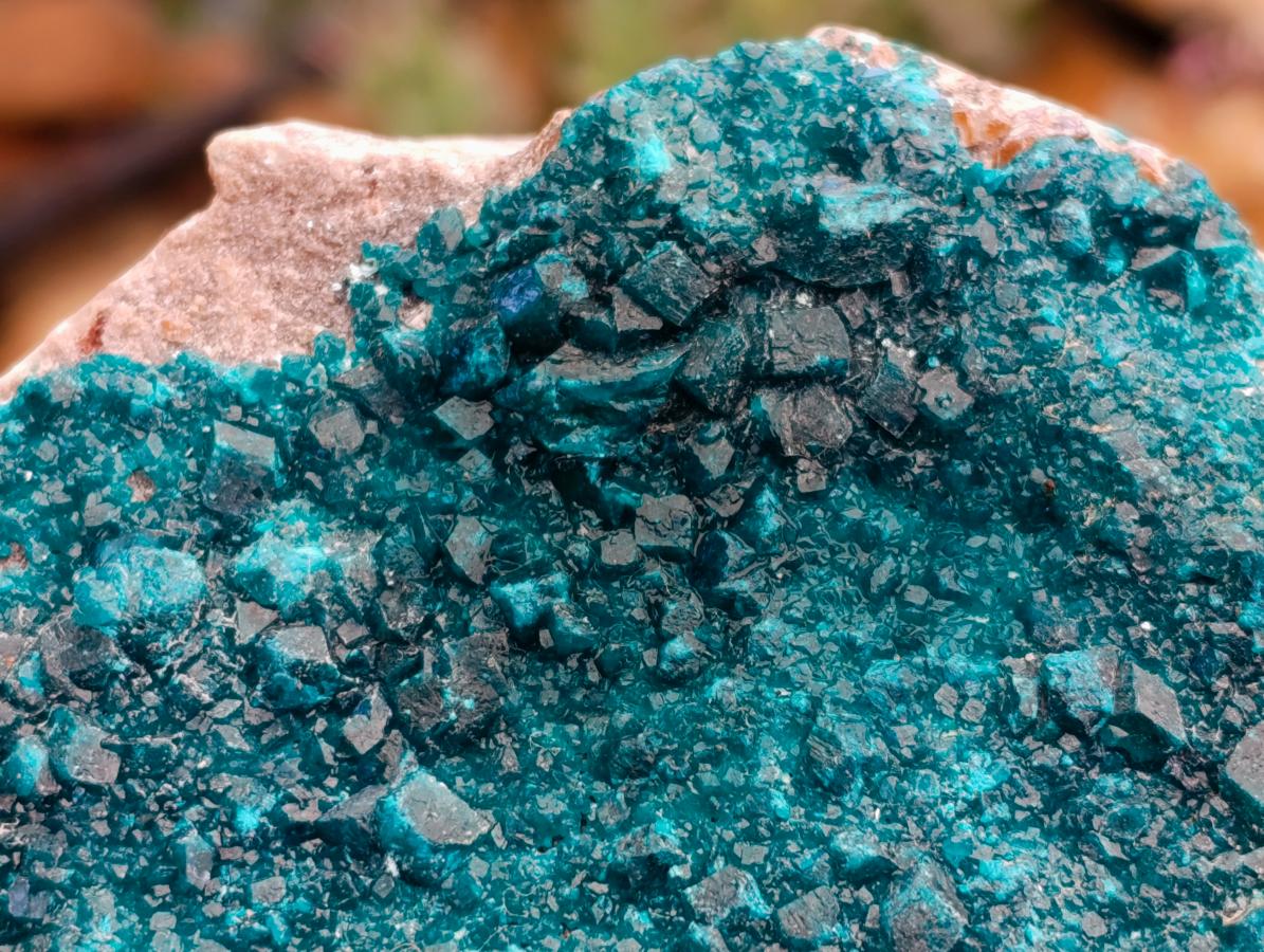 Natural Dioptase On Dolomite Specimen x 1 From Likasi, Congo