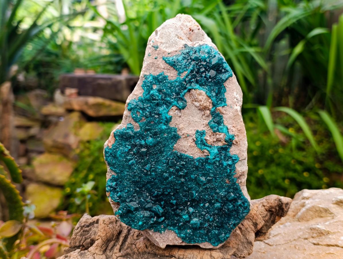 Natural Dioptase On Dolomite Specimen x 1 From Likasi, Congo - Toprock Gemstones and Minerals 