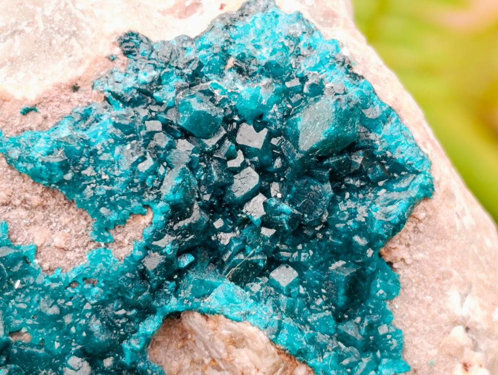 Natural Dioptase On Dolomite Specimen x 1 From Likasi, Congo - Toprock Gemstones and Minerals 