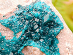 Natural Dioptase On Dolomite Specimen x 1 From Likasi, Congo - Toprock Gemstones and Minerals 