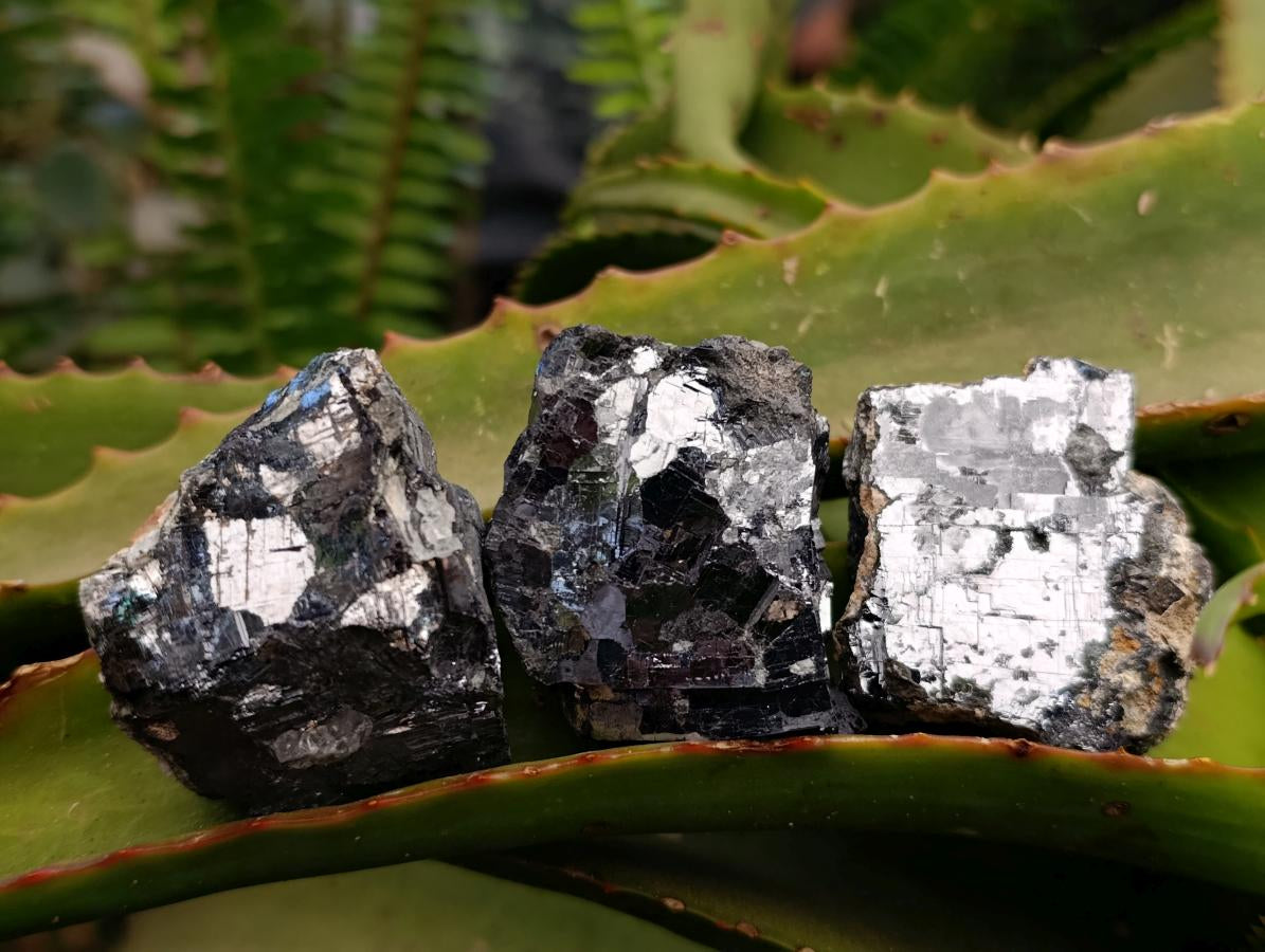Natural Bright Silver Lead Galena Cobbed Specimens x 12 From Kaokoveld, Namibia - Toprock Gemstones and Minerals 