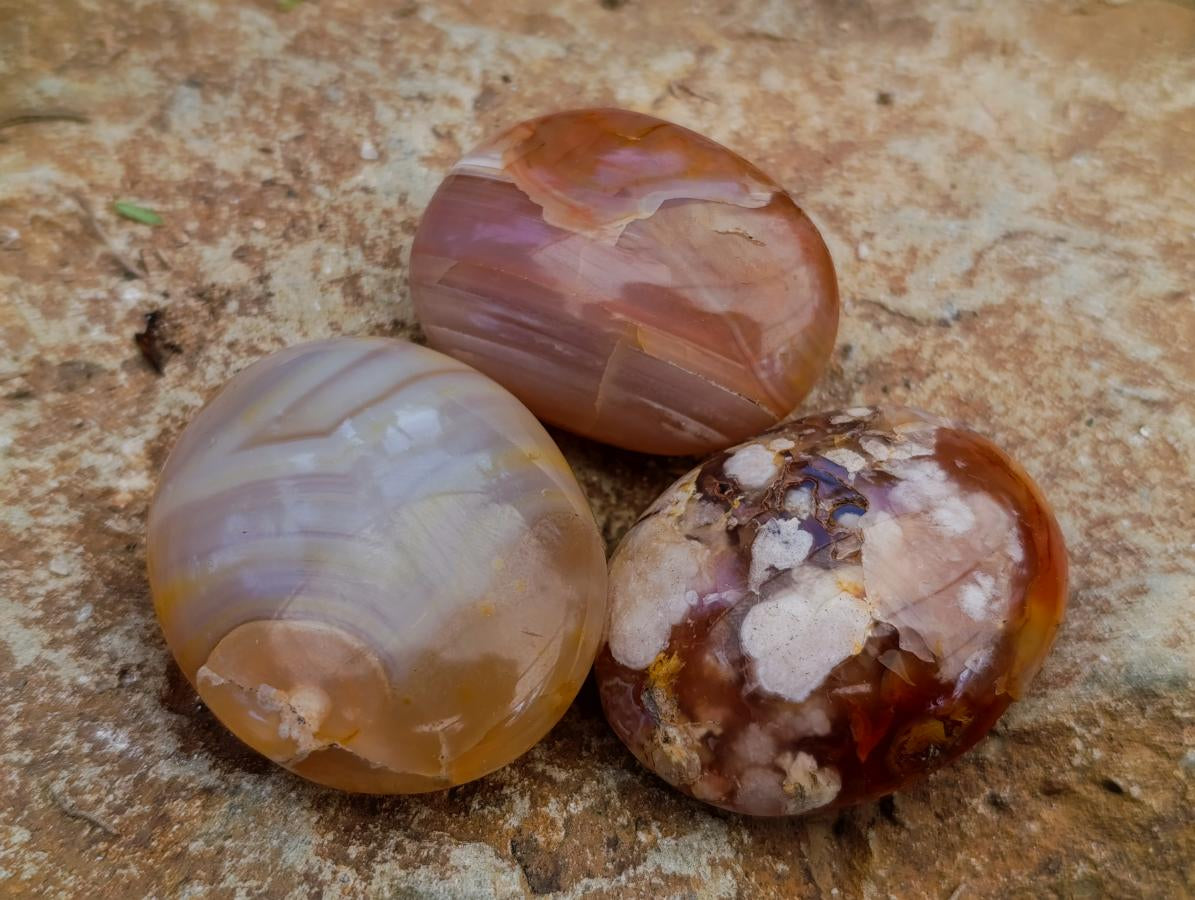 Polished Flower Agate Palm Stones x 21 From Antsahalova, Madagascar