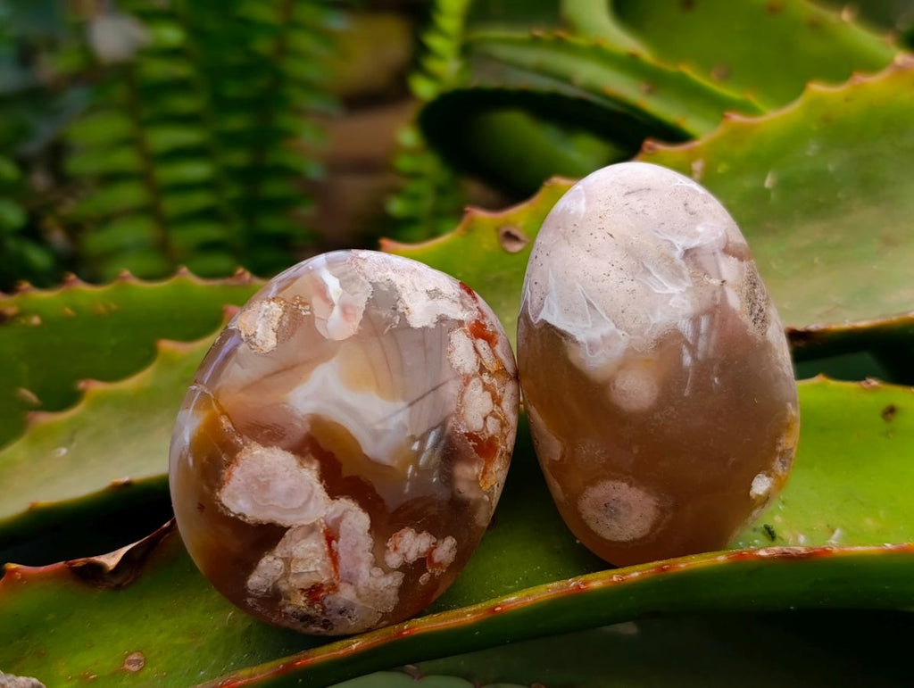 Polished Flower Agate Palm Stones x 21 From Antsahalova, Madagascar