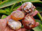 Polished Flower Agate Palm Stones x 21 From Antsahalova, Madagascar