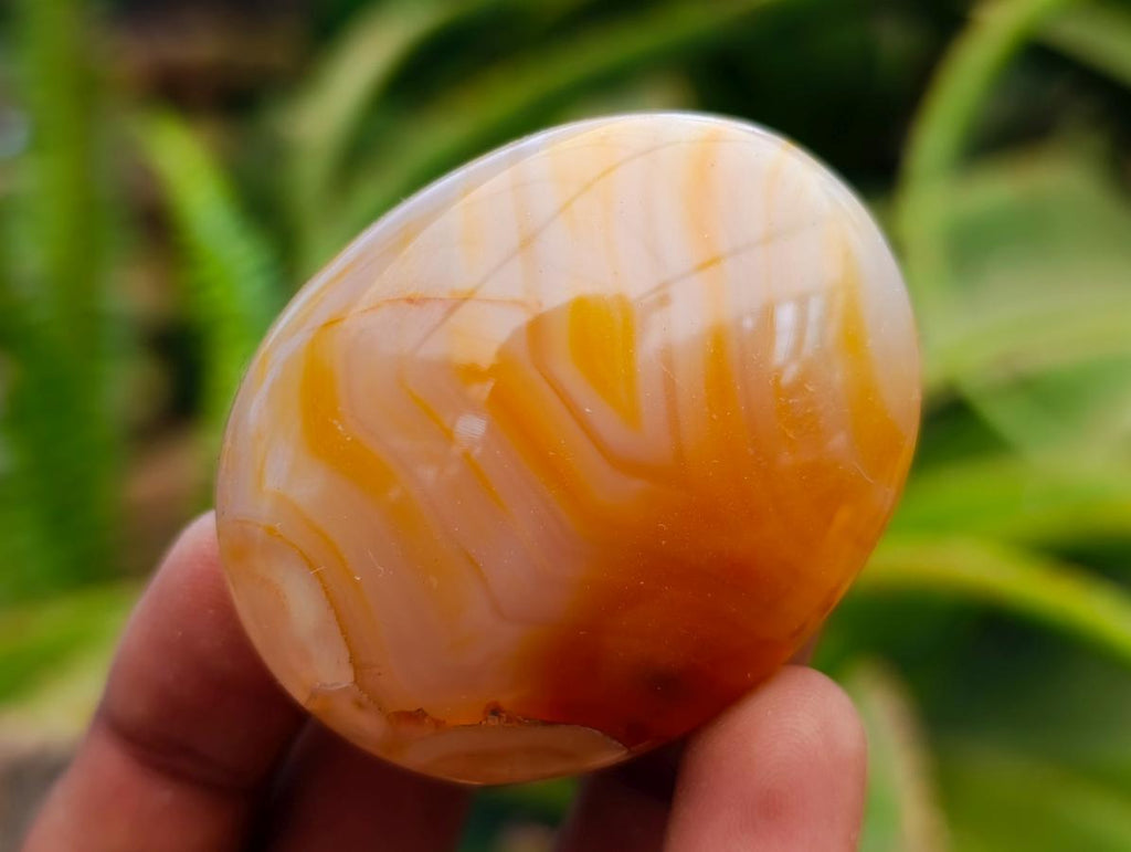 Polished Flower Agate Palm Stones x 21 From Antsahalova, Madagascar