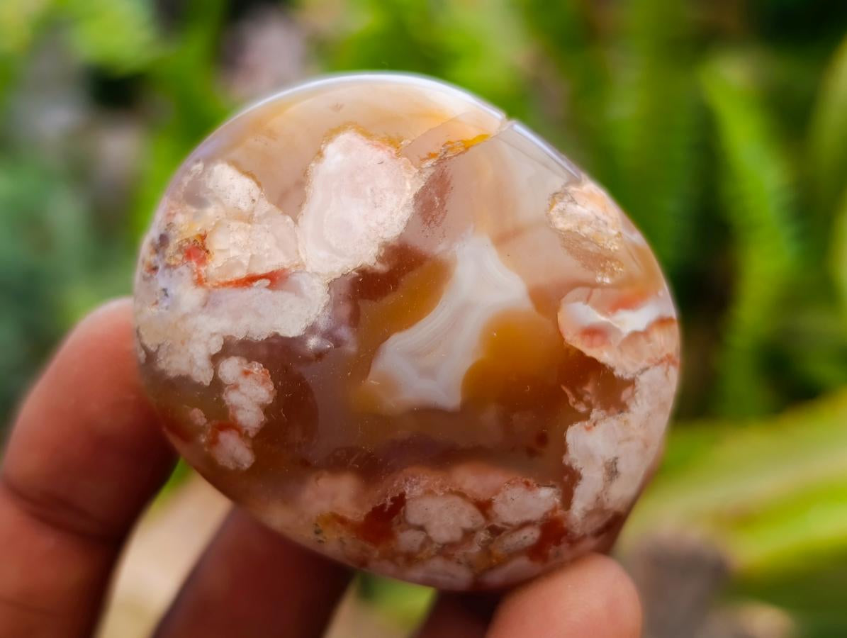 Polished Flower Agate Palm Stones x 21 From Antsahalova, Madagascar