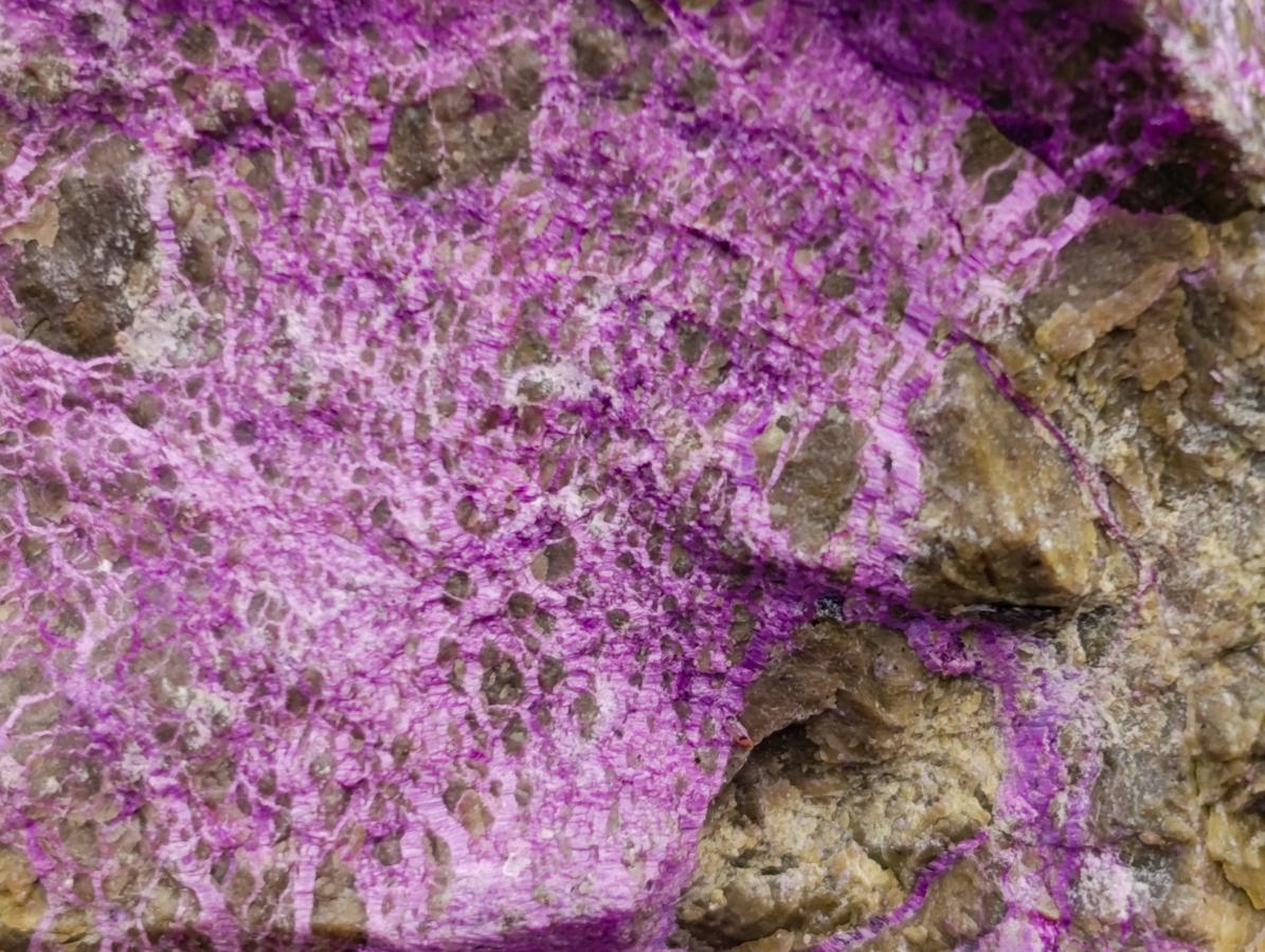 Natural Stichtite Cobbed Specimens x 5 From Barberton, South Africa - Toprock Gemstones and Minerals 