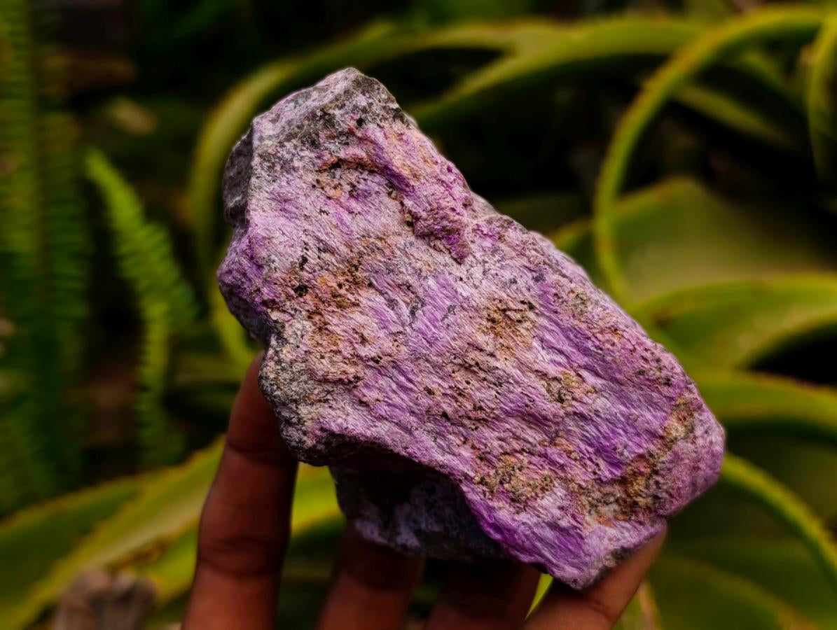 Natural Stichtite Cobbed Specimens x 5 From Barberton, South Africa