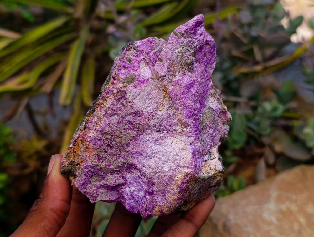 Natural Stichtite Cobbed Specimens x 5 From Barberton, South Africa