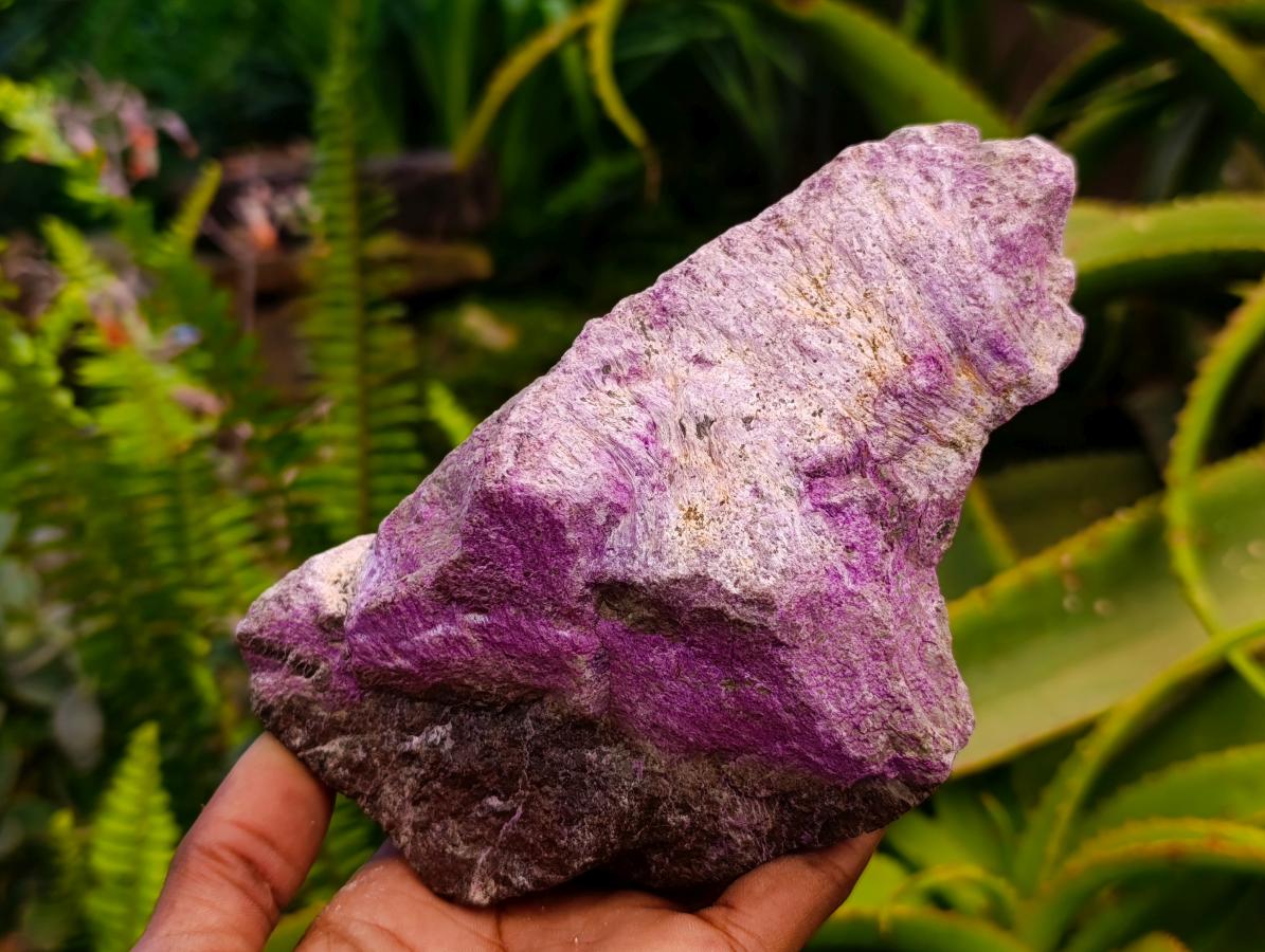 Natural Stichtite Cobbed Specimens x 5 From Barberton, South Africa