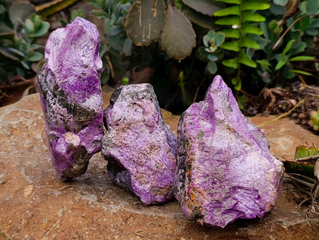 Natural Stichtite Cobbed Specimens x 5 From Barberton, South Africa - Toprock Gemstones and Minerals 