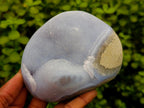 Polished Blue Lace Agate Free Forms x 3 From Nsanje, Malawi
