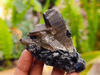 Natural Schorl Black Tourmaline with Associated Minerals x 6 From Erongo, Namibia