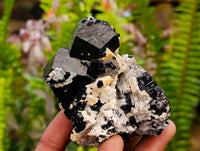 Natural Schorl Black Tourmaline with Associated Minerals x 6 From Erongo, Namibia