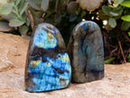 Polished Labradorite Standing Free Forms x 6 From Tulear, Madagascar