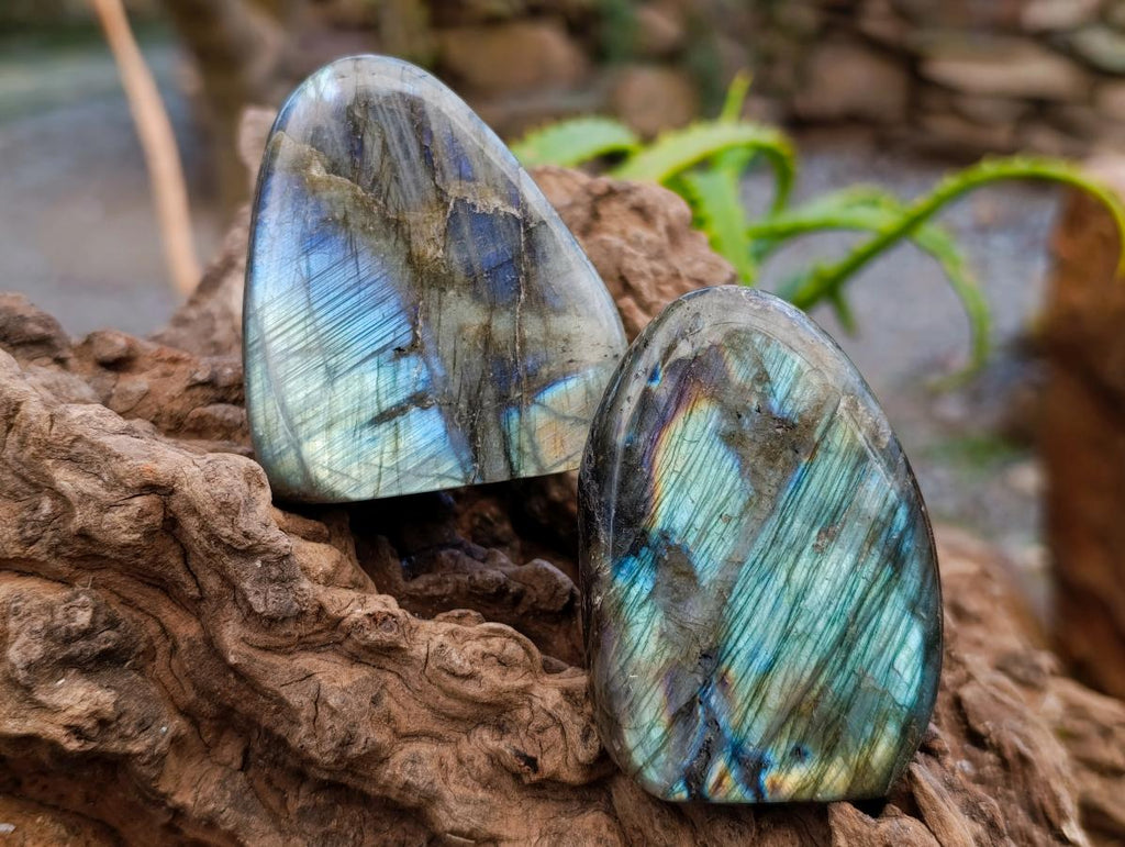 Polished Labradorite Standing Free Forms x 6 From Tulear, Madagascar
