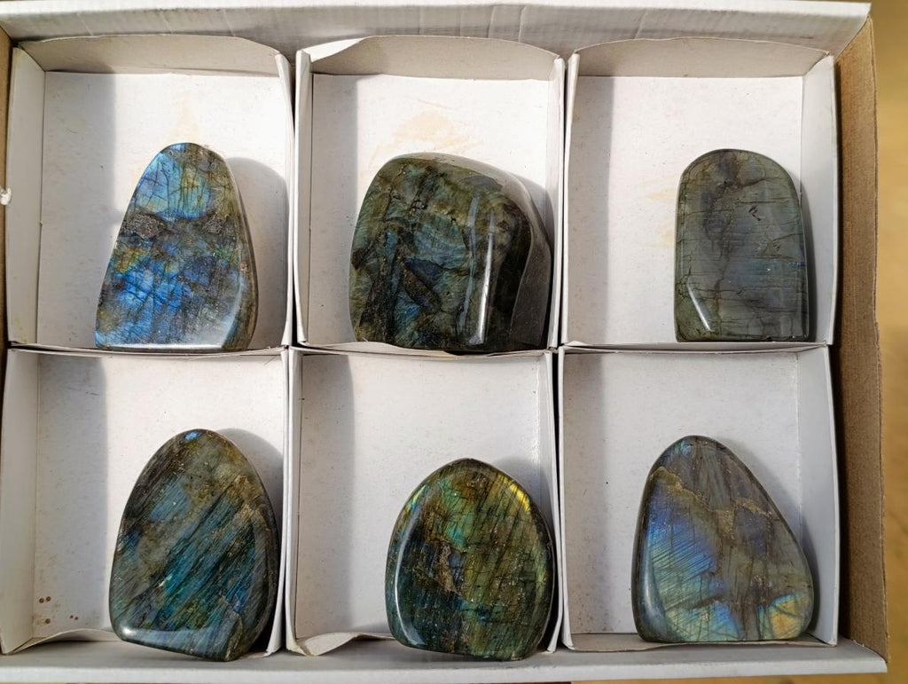 Polished Labradorite Standing Free Forms x 6 From Tulear, Madagascar