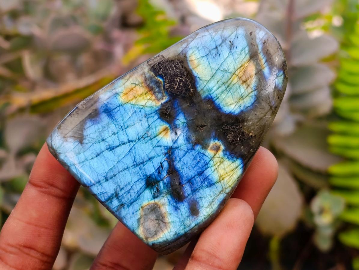 Polished Labradorite Standing Free Forms x 6 From Tulear, Madagascar