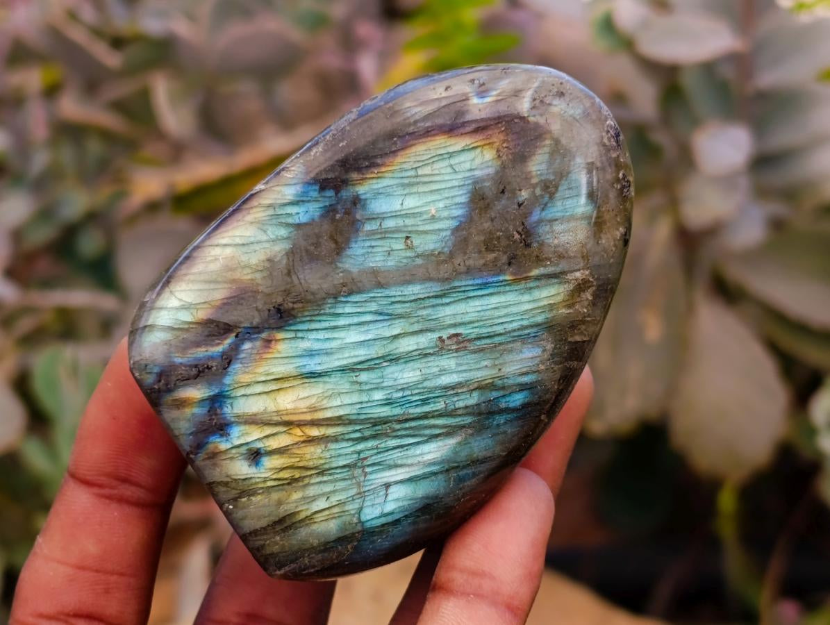 Polished Labradorite Standing Free Forms x 6 From Tulear, Madagascar