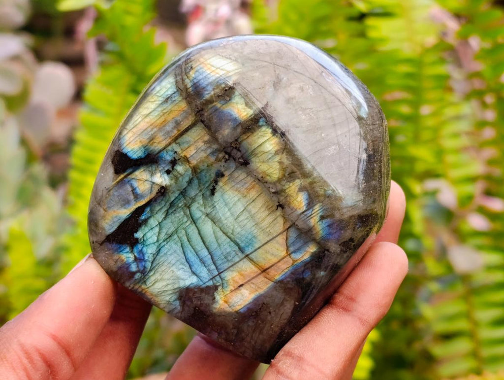 Polished Labradorite Standing Free Forms x 6 From Tulear, Madagascar