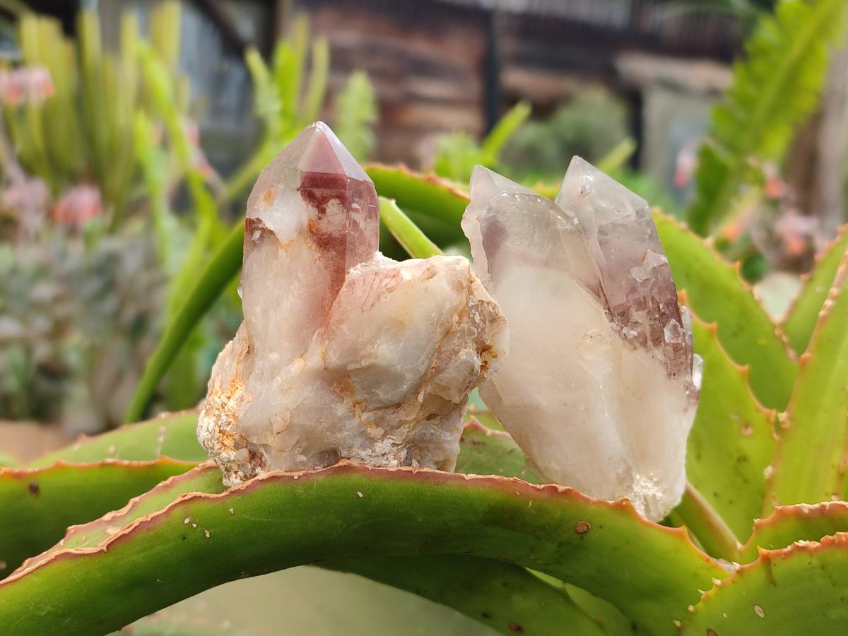 Natural Red Hematoid Quartz Crystals and Clusters x 24 From Karoi, Zimbabwe