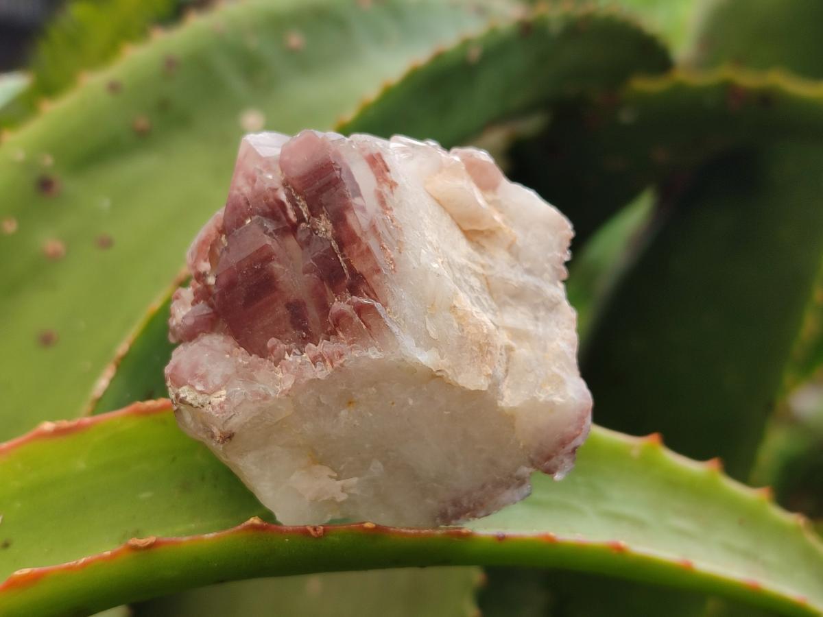 Natural Red Hematoid Quartz Crystals and Clusters x 24 From Karoi, Zimbabwe