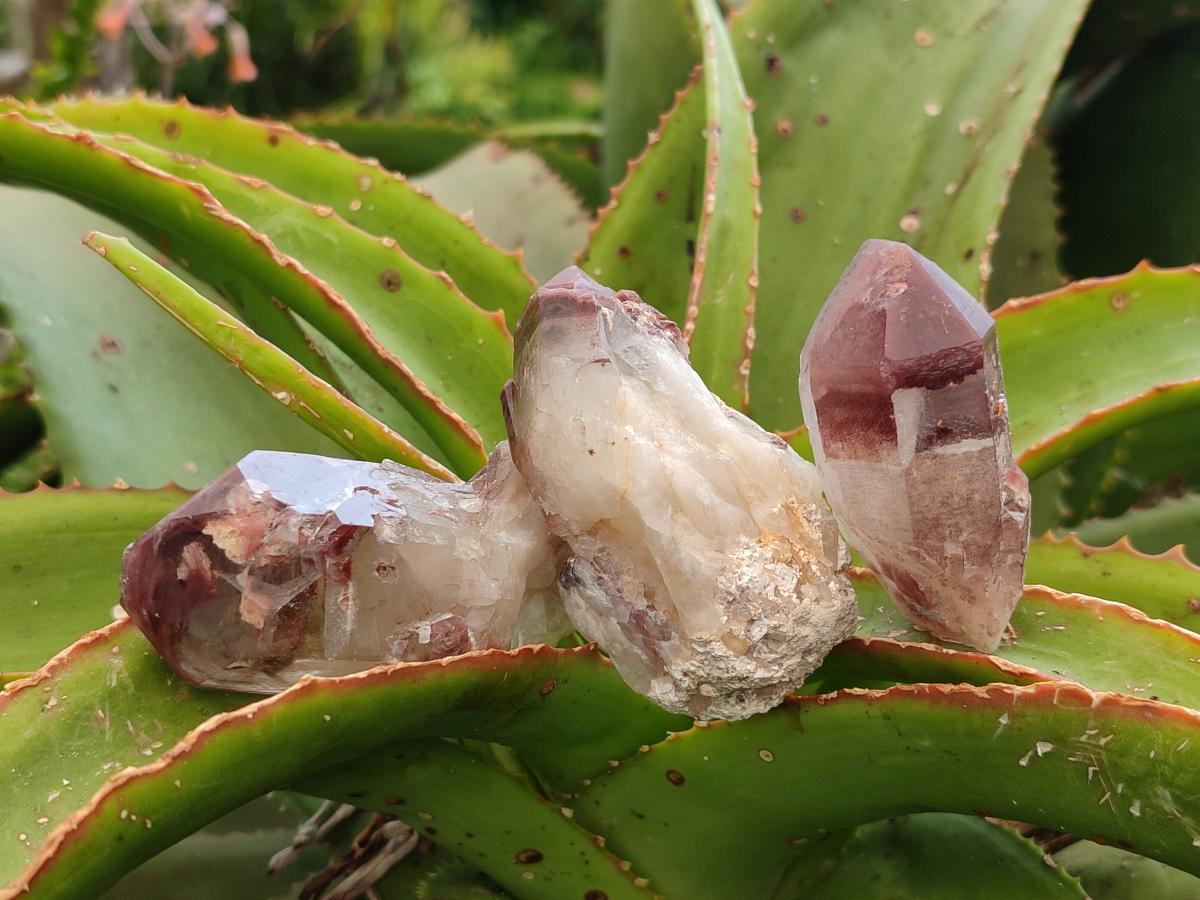 Natural Red Hematoid Quartz Crystals and Clusters x 24 From Karoi, Zimbabwe