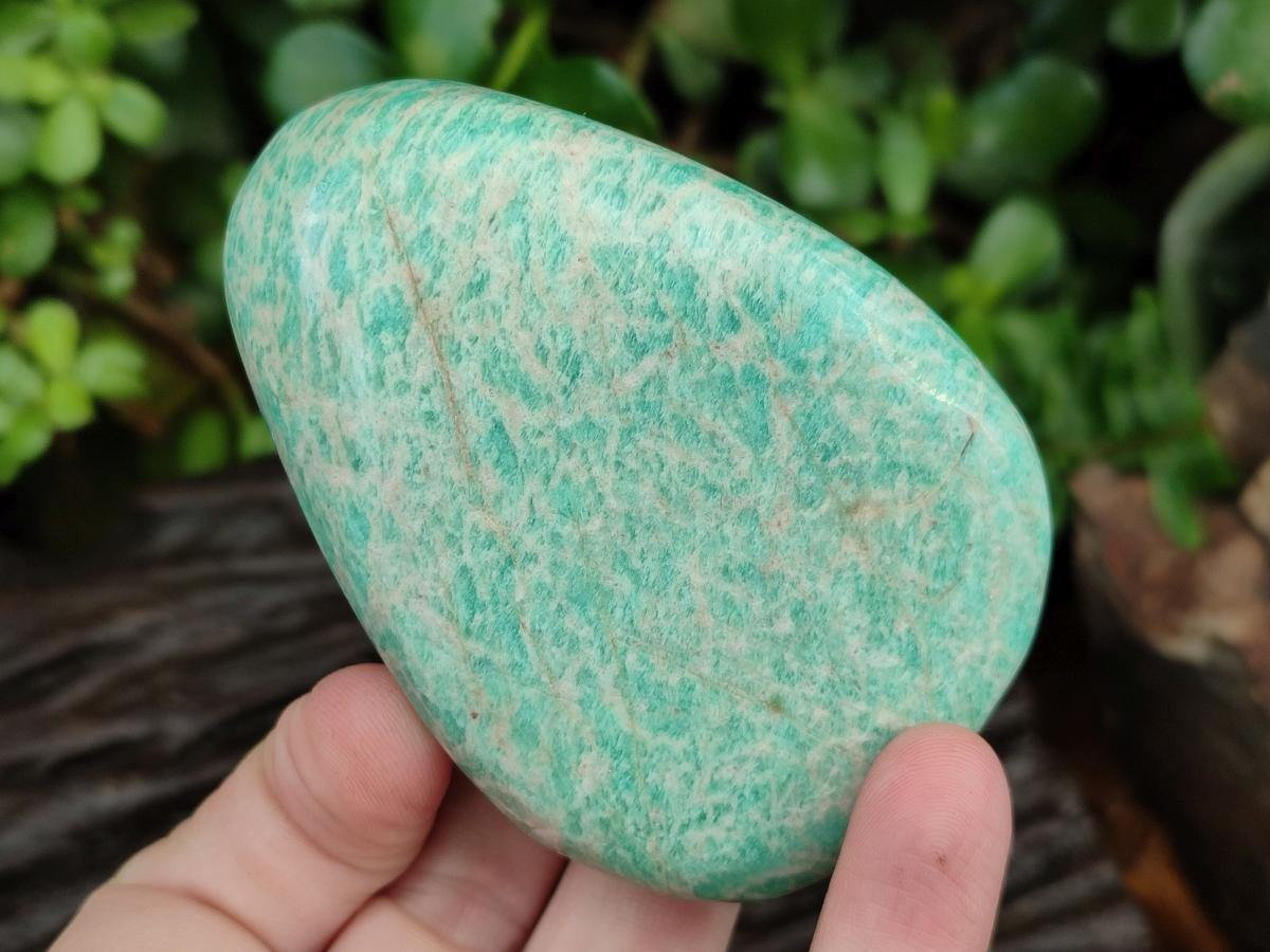 Polished Amazonite Standing and Free Forms x 6 From Zimbabwe