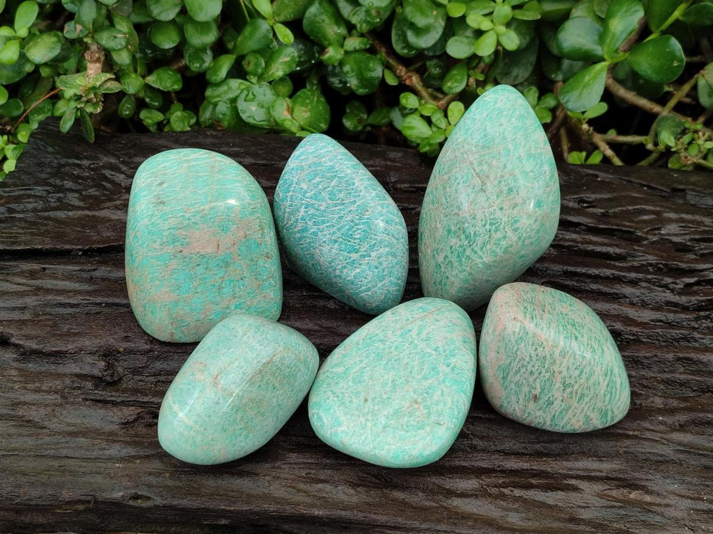 Polished Amazonite Standing and Free Forms x 6 From Zimbabwe