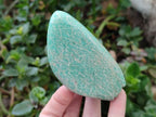 Polished Amazonite Standing and Free Forms x 6 From Zimbabwe