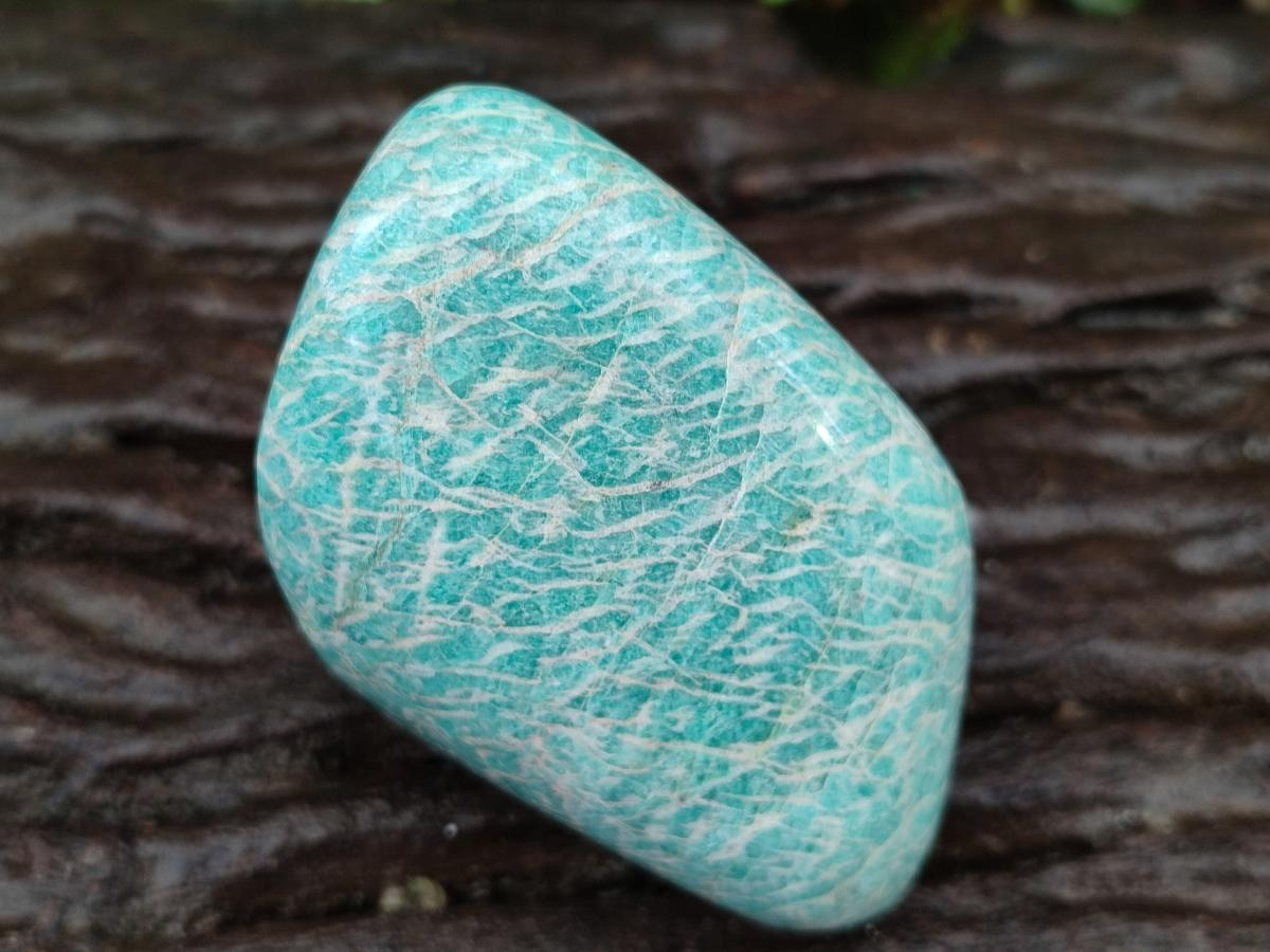 Polished Amazonite Standing and Free Forms x 6 From Zimbabwe