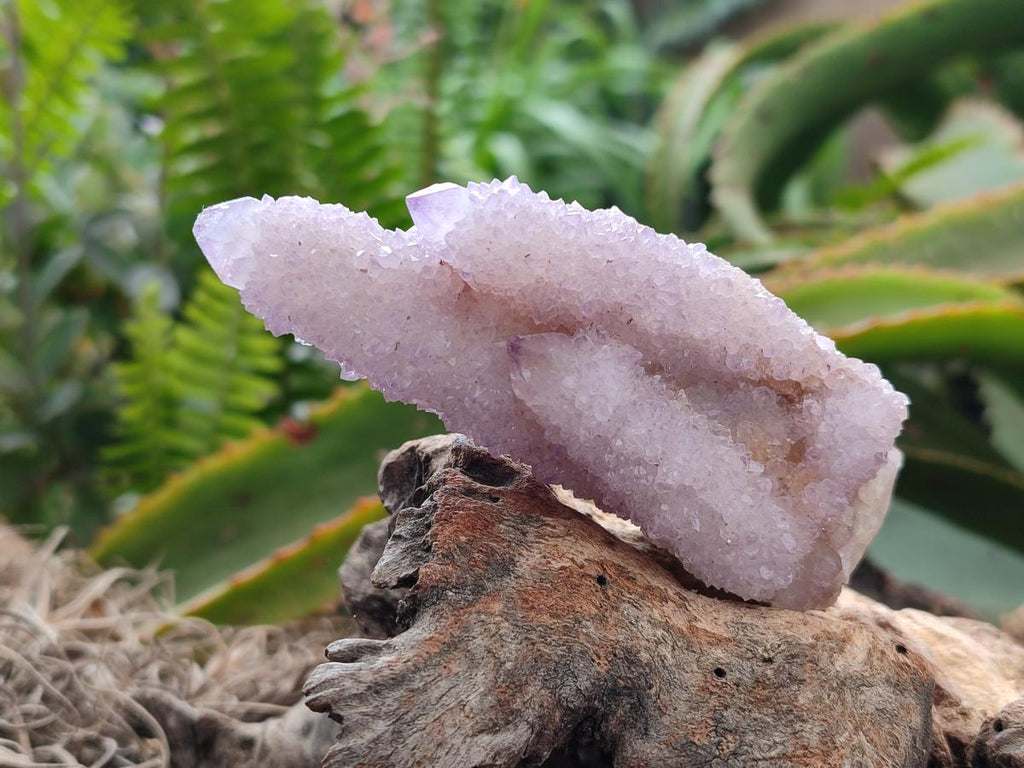 Natural Drusy Amethyst Spirit Clusters x 6 From Boekenhouthoek, South Africa