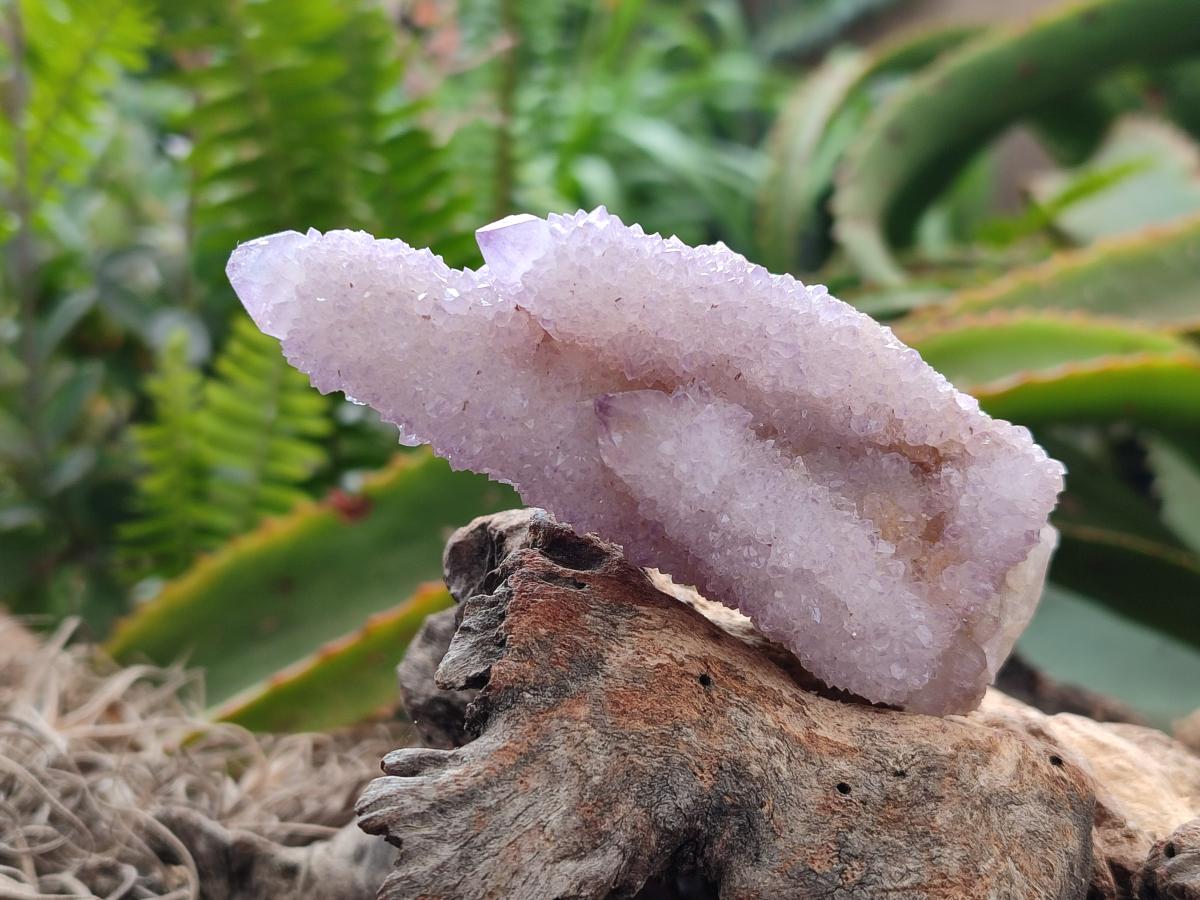 Natural Drusy Amethyst Spirit Clusters x 6 From Boekenhouthoek, South Africa