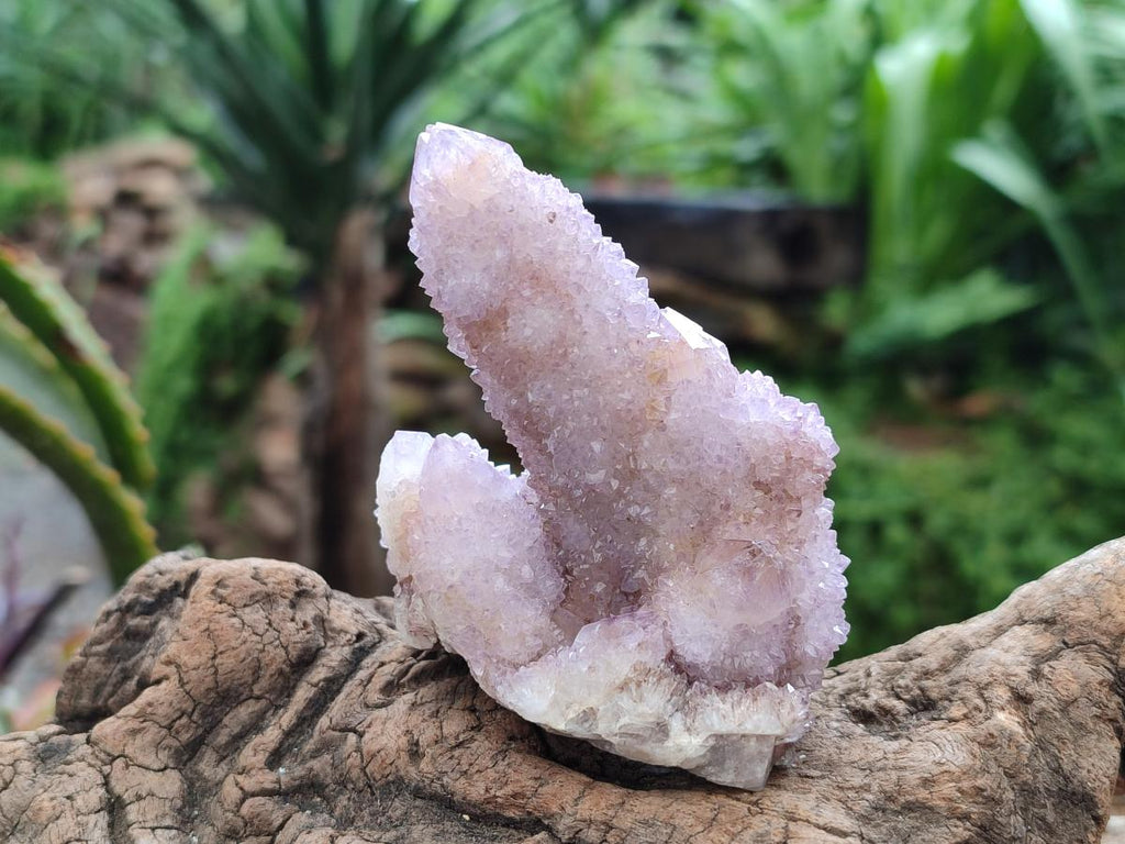 Natural Drusy Amethyst Spirit Clusters x 6 From Boekenhouthoek, South Africa