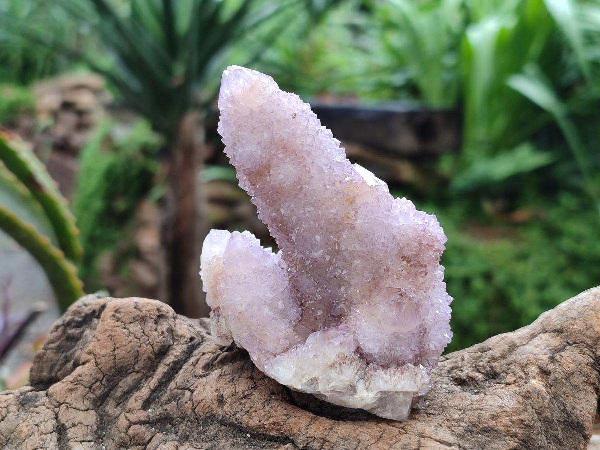 Natural Drusy Amethyst Spirit Clusters x 6 From Boekenhouthoek, South Africa