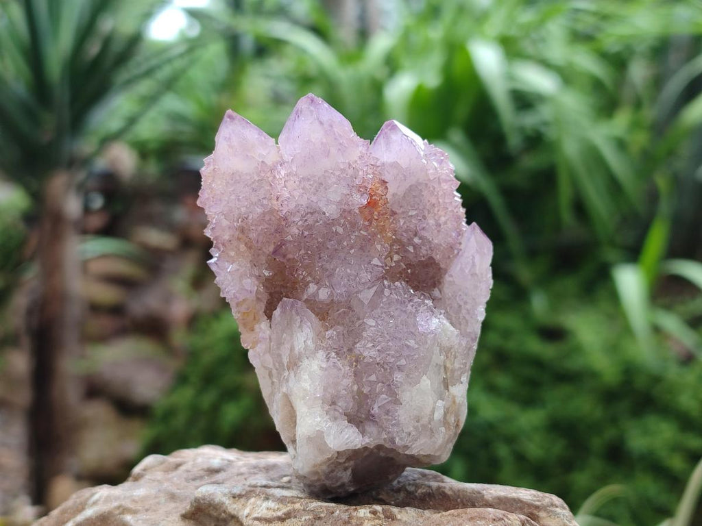 Natural Drusy Amethyst Spirit Clusters x 6 From Boekenhouthoek, South Africa