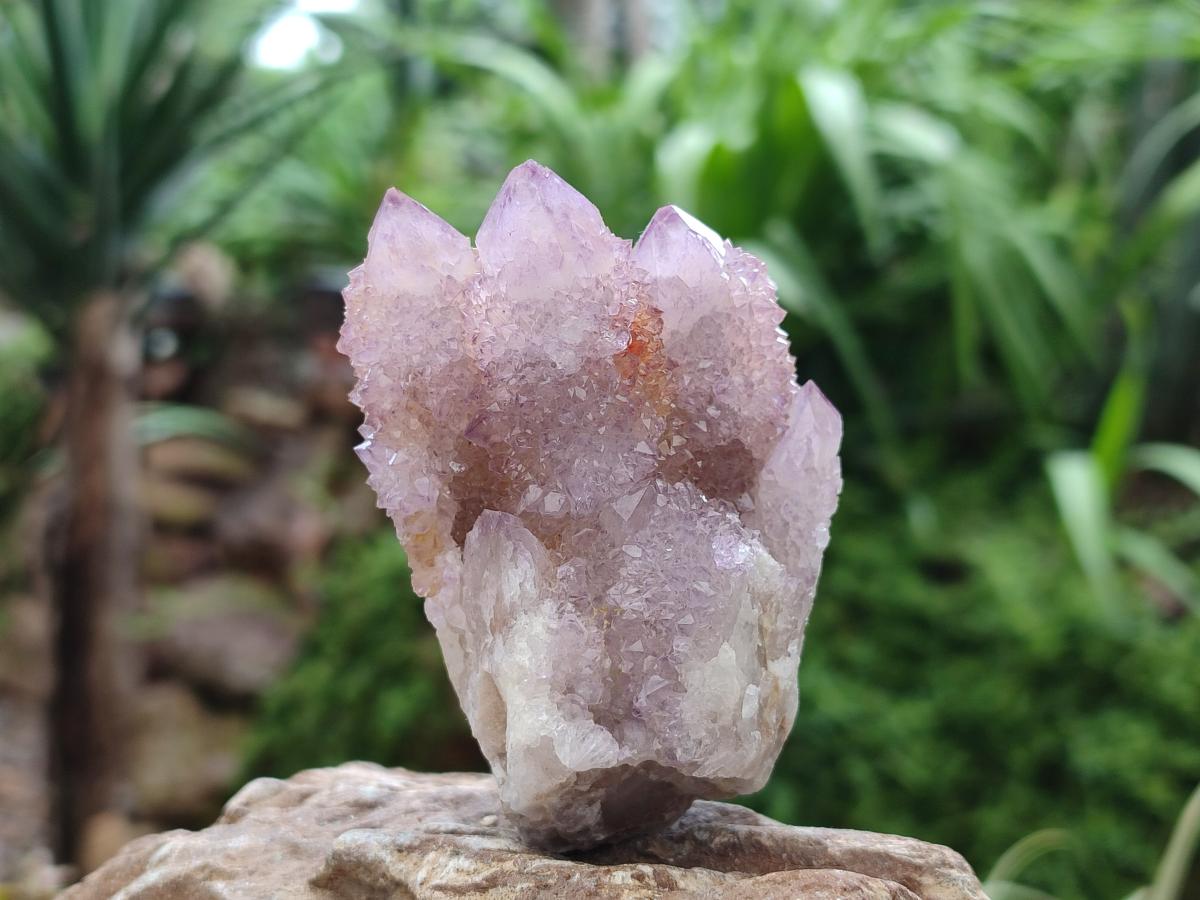 Natural Drusy Amethyst Spirit Clusters x 6 From Boekenhouthoek, South Africa